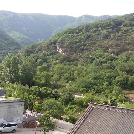 Kungfu Hostel （Songshan Shaolin Temple)Songyang エクステリア 写真